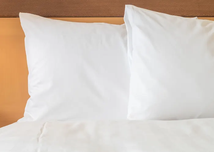 Sleep & Asu Campus Hotel Tempe